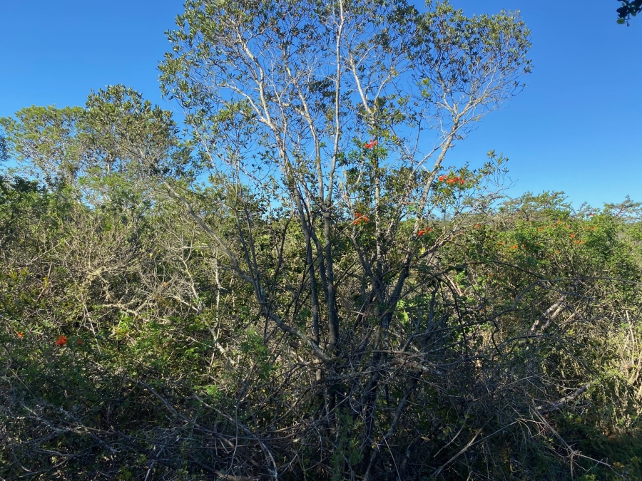 0 Bedroom Property for Sale in Bathurst Eastern Cape